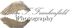 Kevin Frankenfield Photography